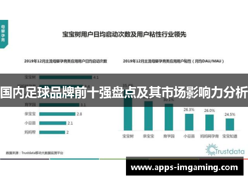 国内足球品牌前十强盘点及其市场影响力分析