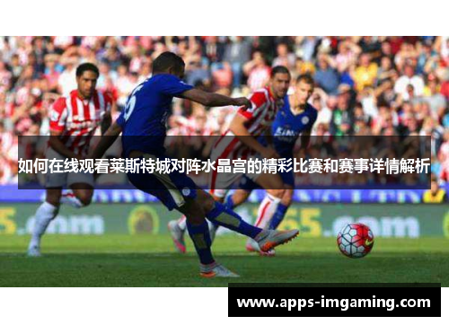 如何在线观看莱斯特城对阵水晶宫的精彩比赛和赛事详情解析