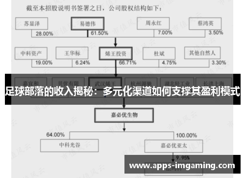 足球部落的收入揭秘：多元化渠道如何支撑其盈利模式