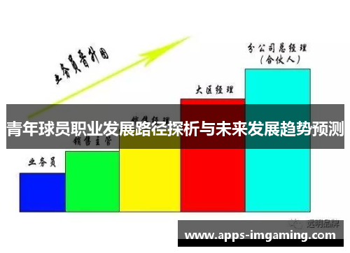 青年球员职业发展路径探析与未来发展趋势预测