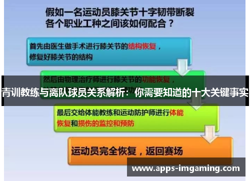 青训教练与离队球员关系解析：你需要知道的十大关键事实